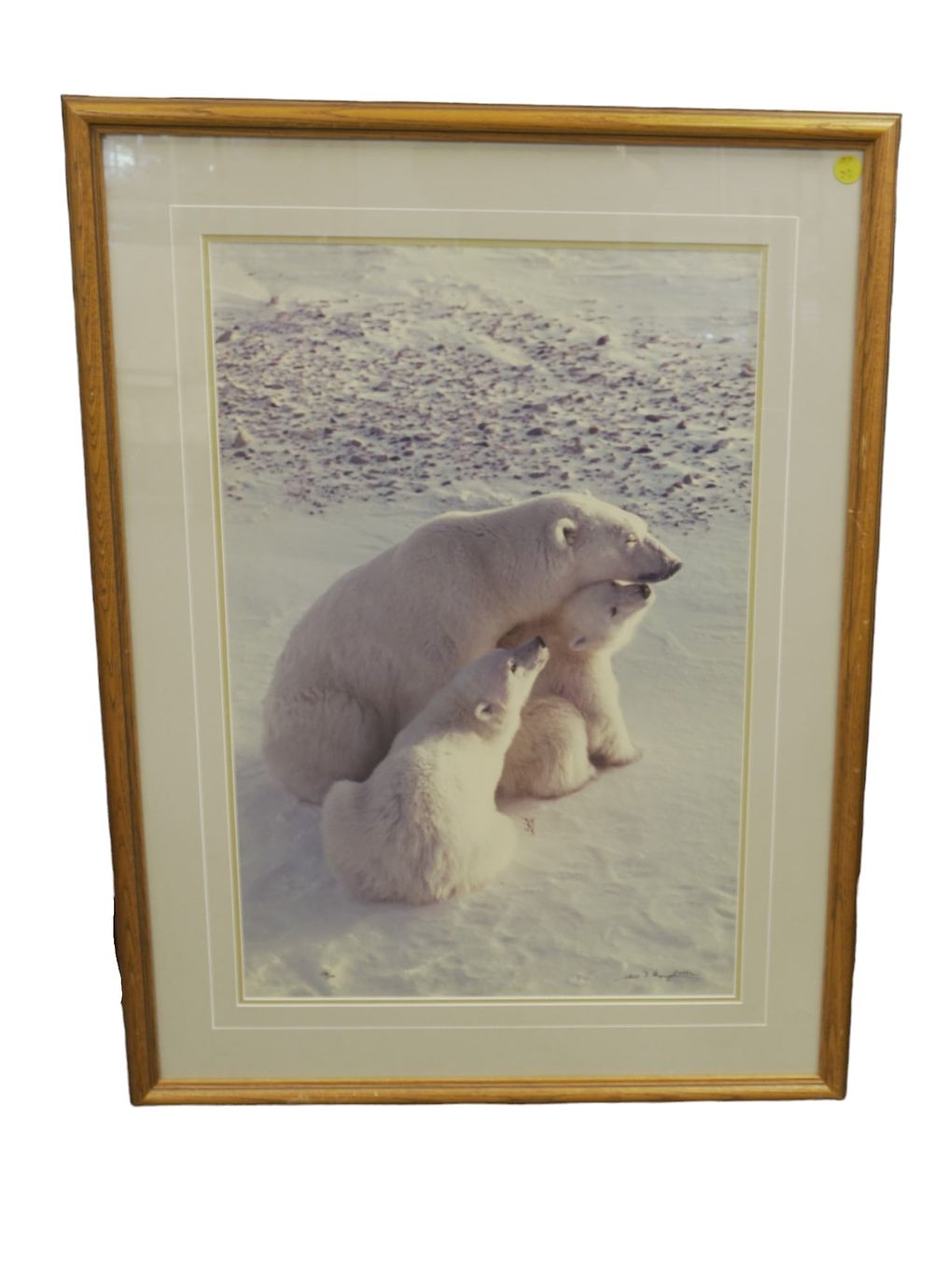 Lot 313: THOMAS MANGELSEN SIGNED MOTHER POLAR BEAR & 2 CUBS LARGE FRAMED PHOTOGRAPH