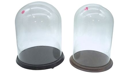 2 ANTIQUE HAND BLOWN TALL GLASS CLOCHE DOME. Two (2) Antique Hand Blown Glass Cloche Domes With 