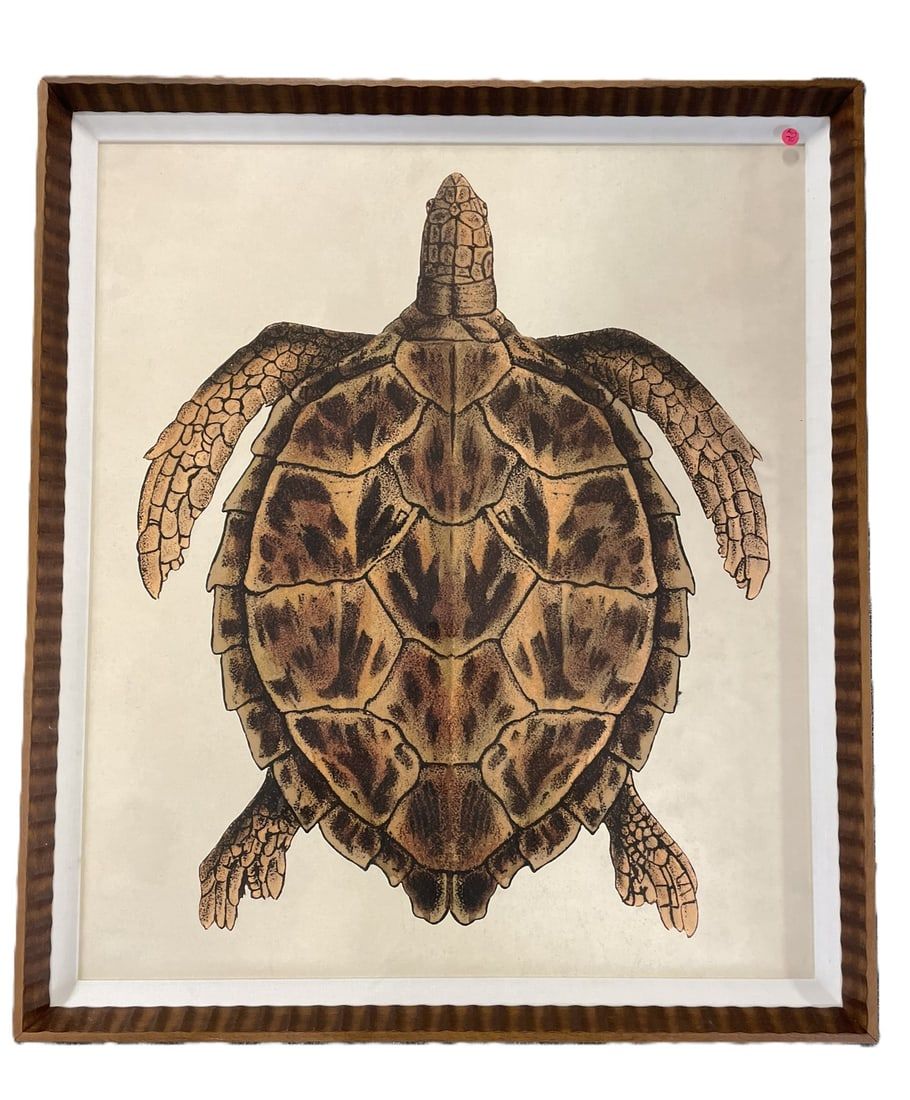 Lot 70: LARGE FRAMED HAWKSBILL SEA TURTLE PRINT