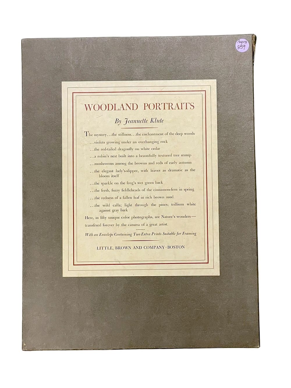 Lot 259: WOODLAND PORTRAITS JEANNETTE KLUTE
