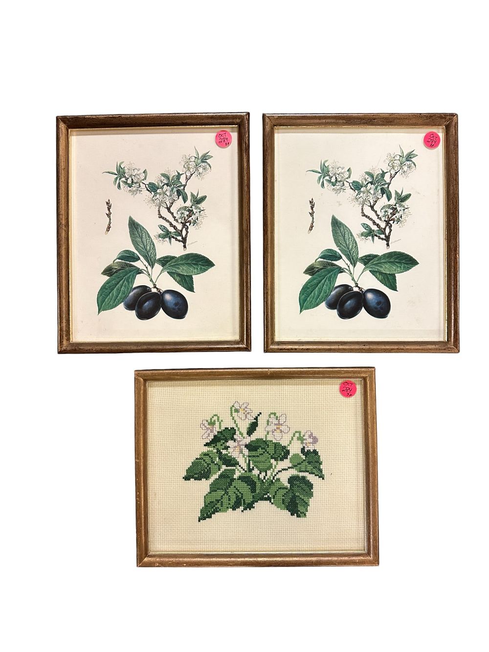 Lot 284: 3 pc ANTIQUE BOTANICAL PRINTS & NEEDLEPOINT