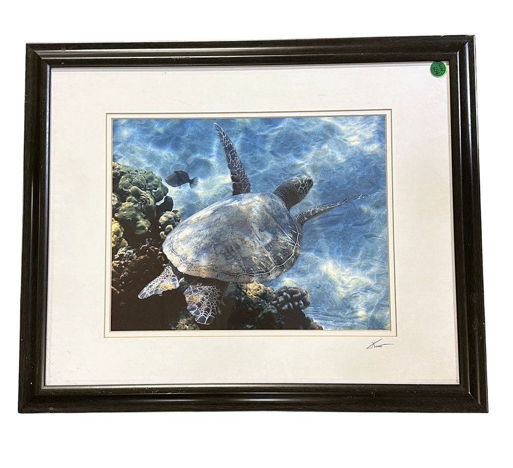 Lot 236: KAMO HAWAIIAN GREEN SEA TURTLE FLYING BY