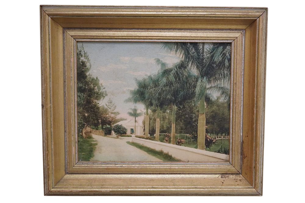 Lot 289: VINTAGE FLORIDA COLORED PHOTOGRAPH