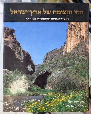 שלישיית ספרי אלבום ועיון מופתיים בטבע, בוטניקה ופיסול סביבתי בארץ ישראל – צמד כרכים מקיפים מתוך 