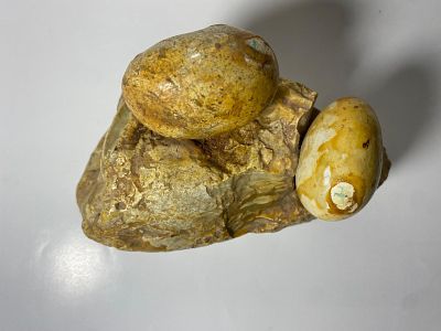 פלאי פרהיסטוריה על שולחן העבודה – קומפוזיציה פיסולית דקורטיבית מאבן טבעית בדמות קן מאובני ביצי 