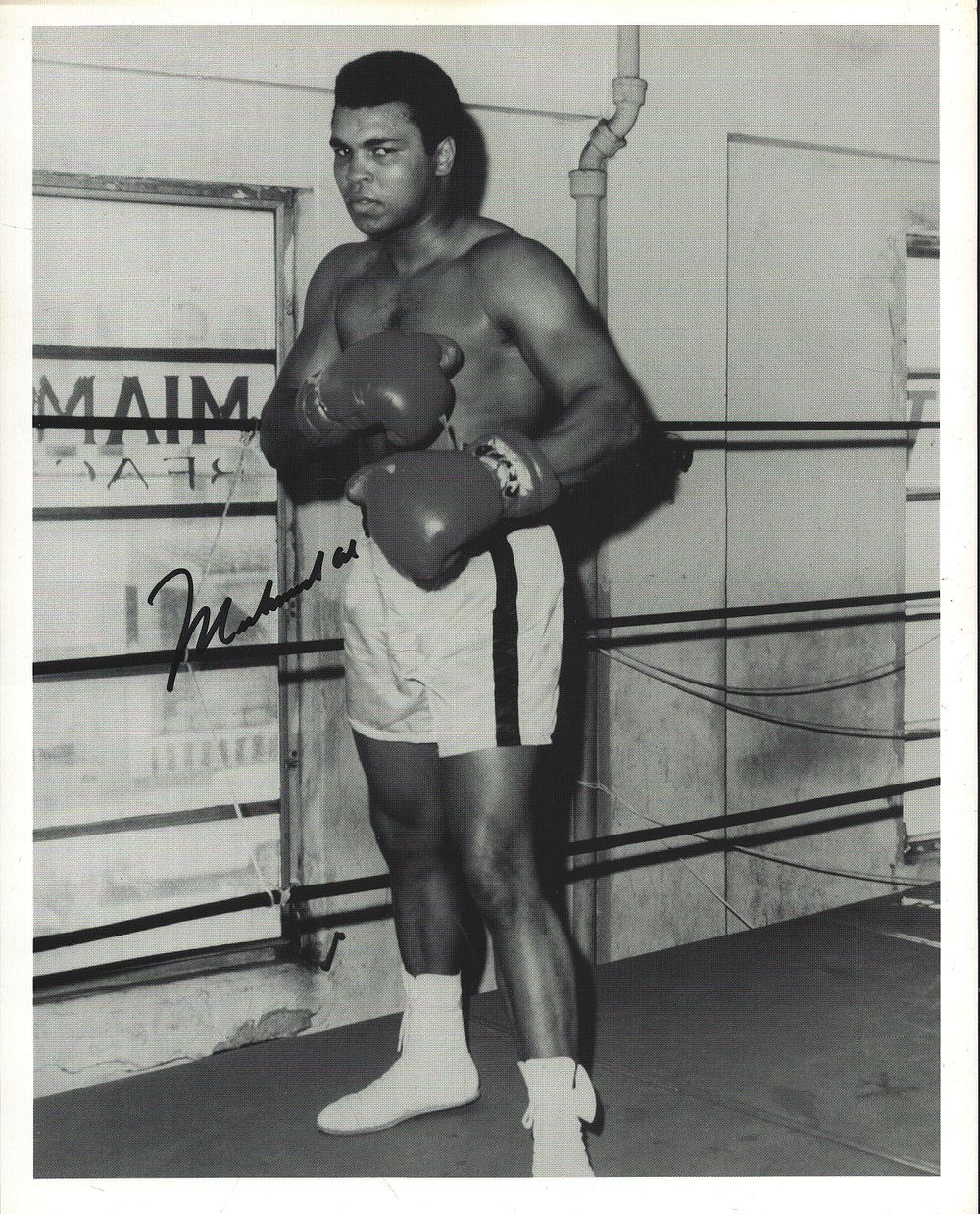 Chaucer Auctions | Auction 475 | LIVE AUTOGRAPH AUCTION TV SPORT MUSIC , FILM AND COLLECTABLES.