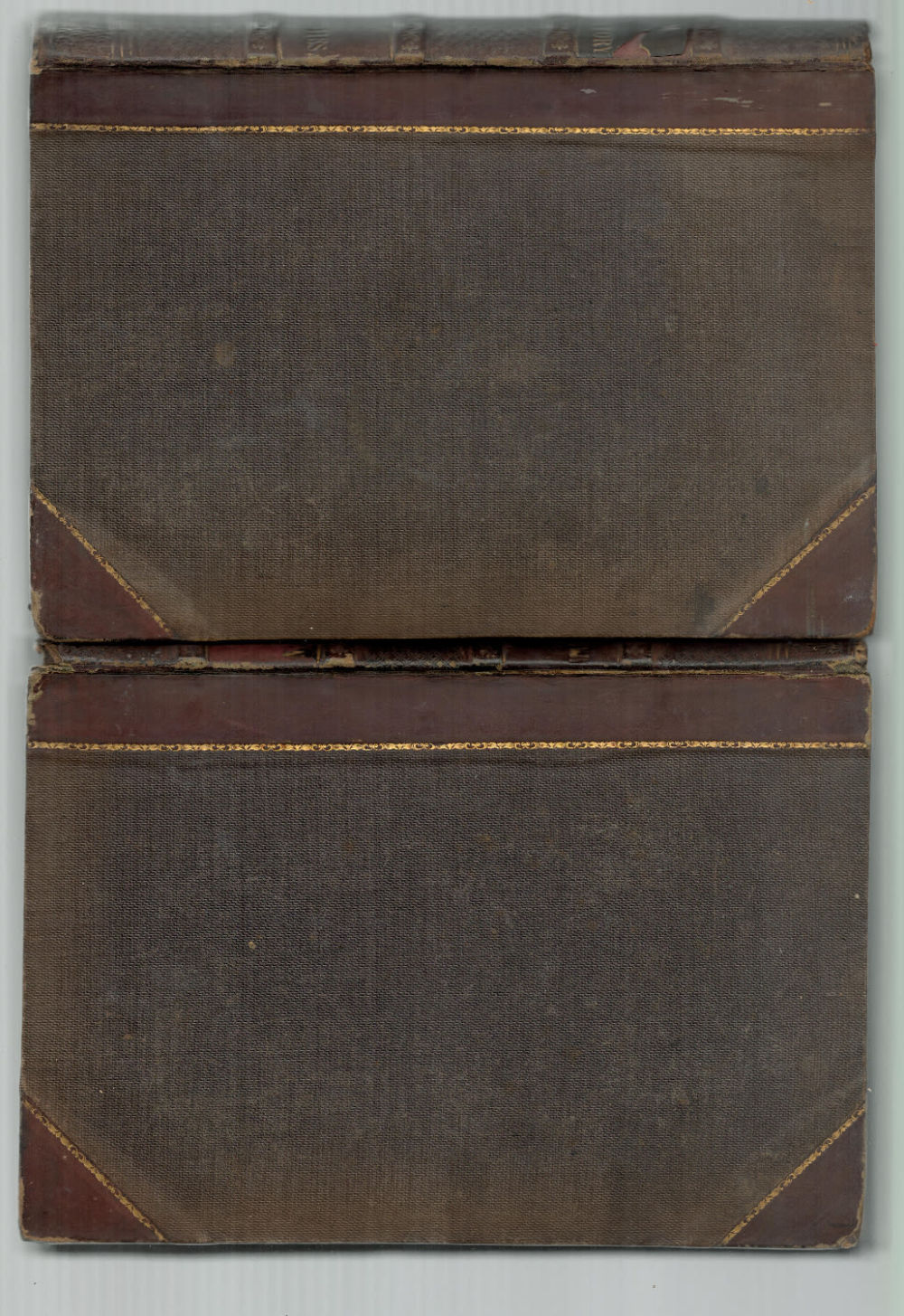 Lot 228: The Museum of Natural History: Being a popular...