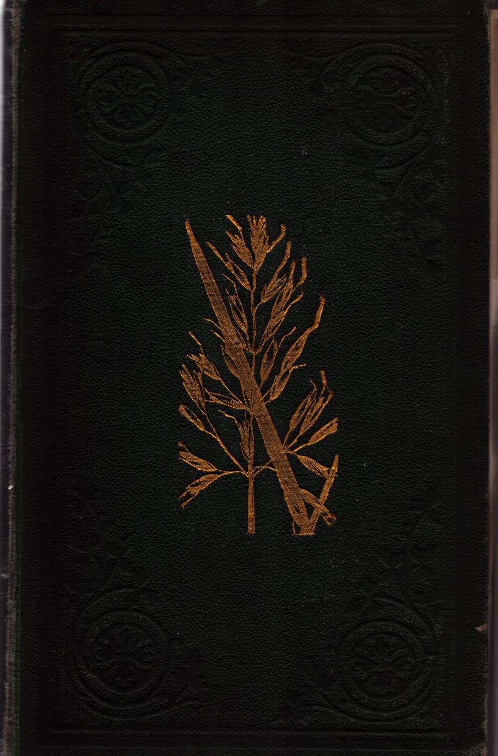 Lot 318: The Grasses of Great Britain. By Charles Johnson,...