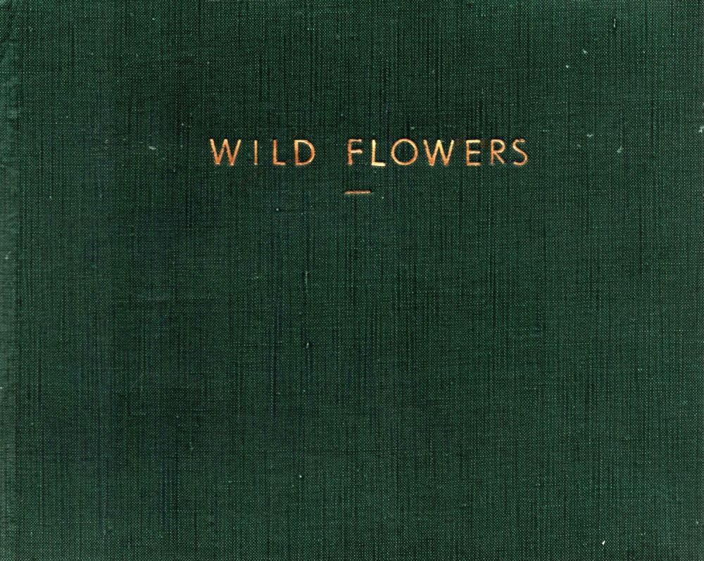 Lot 327: Wild Flowers. By Paxton Chadwick. A Puffin picture...
