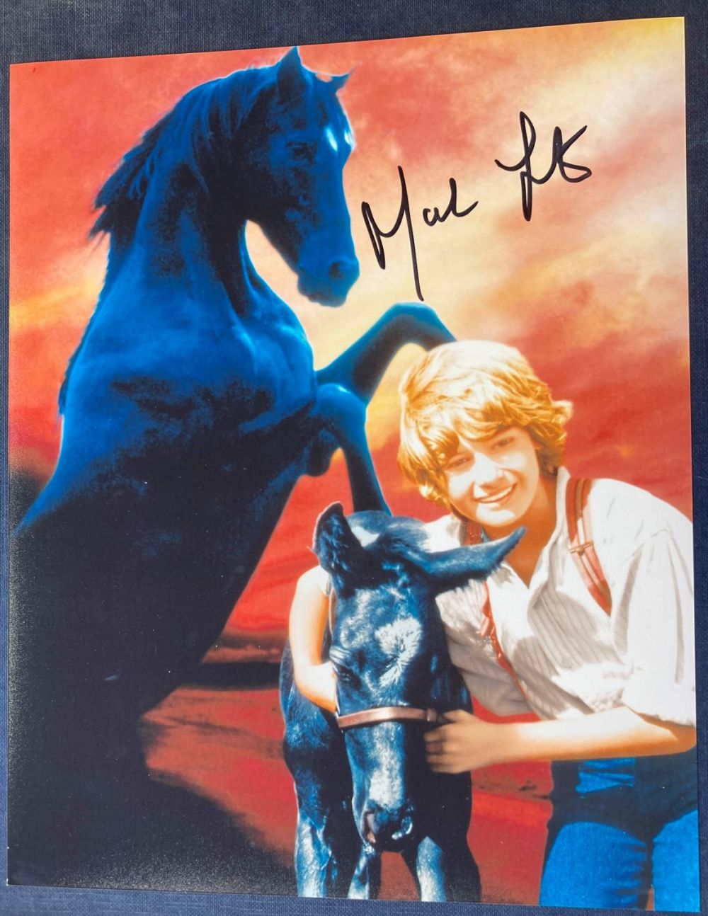 Lot 108: Black Beauty Mark Lester signed 10 x 8...