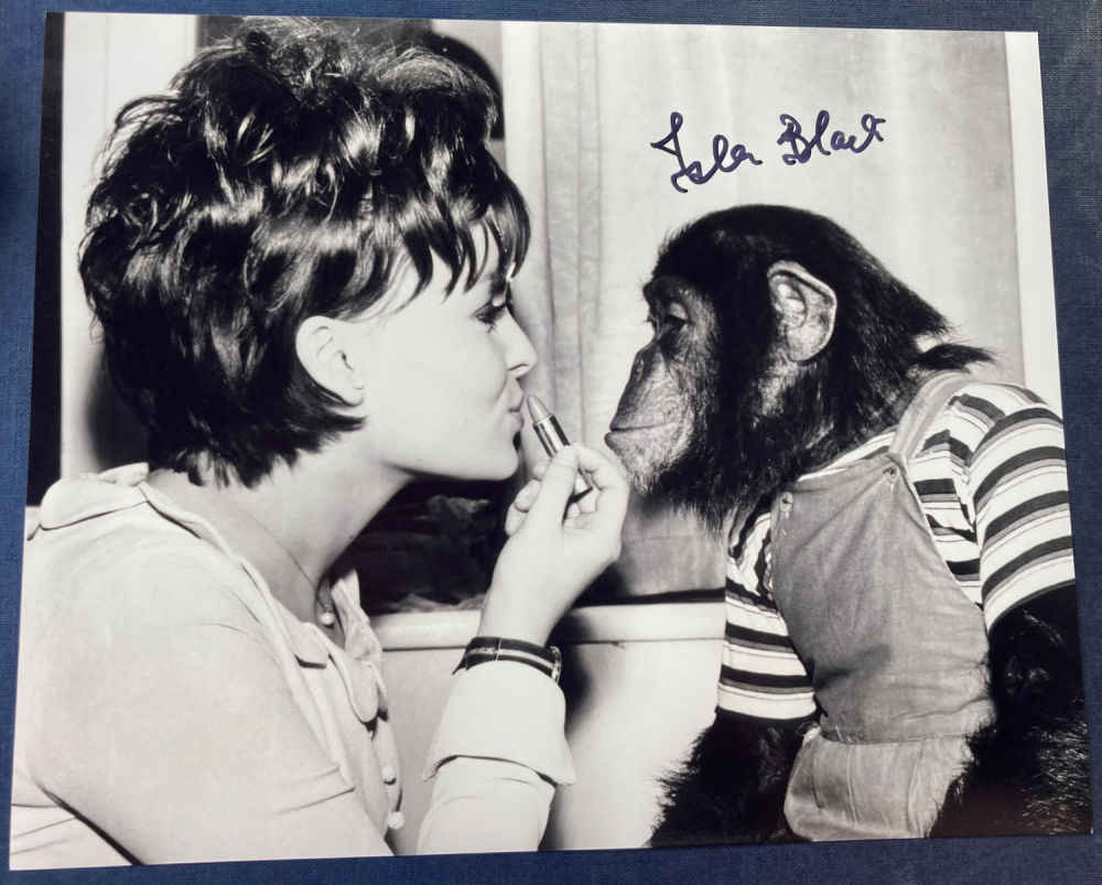 Lot 110: Dr. Terror's House of Horrors Isla Blair signed...