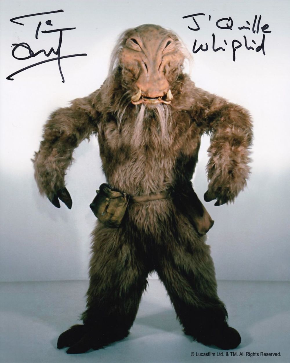Lot 228: Super Sale! Star Wars Tim Dry hand signed...
