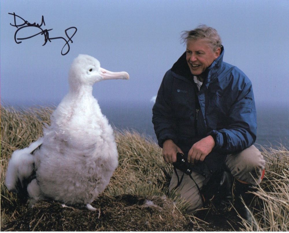 Lot 337: Sir David Attenborough. 10X8 picture of the national...