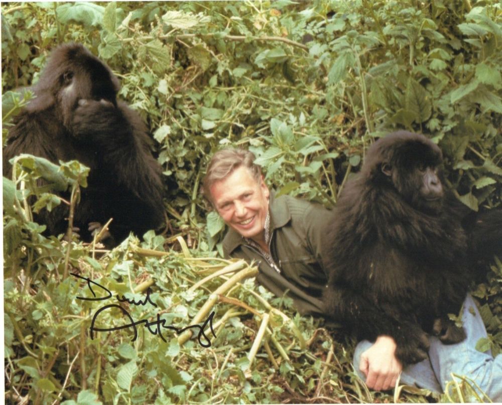 Lot 338: Sir David Attenborough. 10X8 picture of the national...