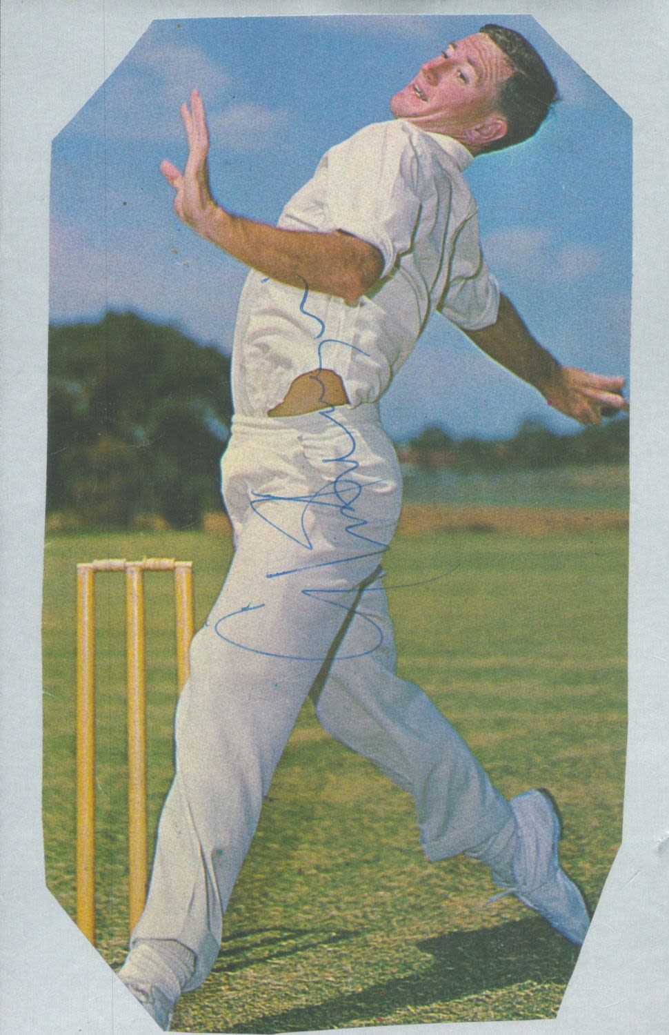 Lot 70: Cricket Graham McKenzie signed 8x6 inch approx colour...