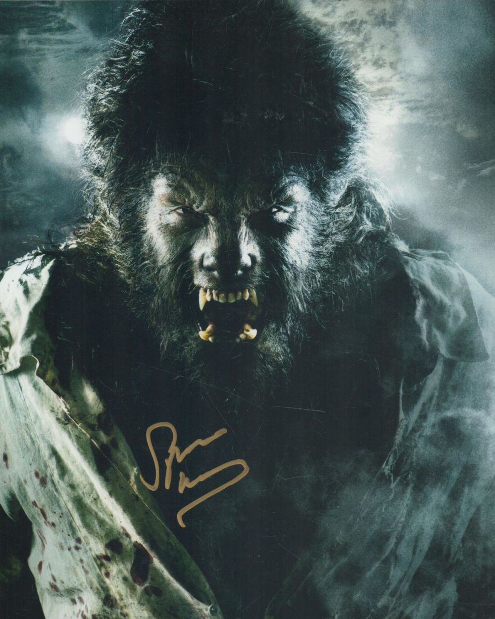 Lot 203: Spencer Wilding signed 10x8 inch colour photo. Good...
