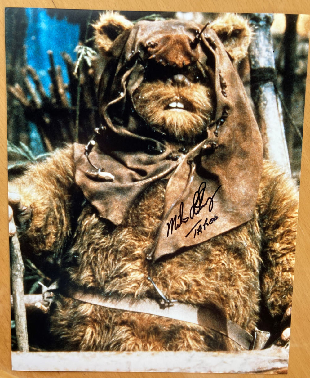 Lot 185: Star Wars Michael Henbury Taboo Ewok signed 10...