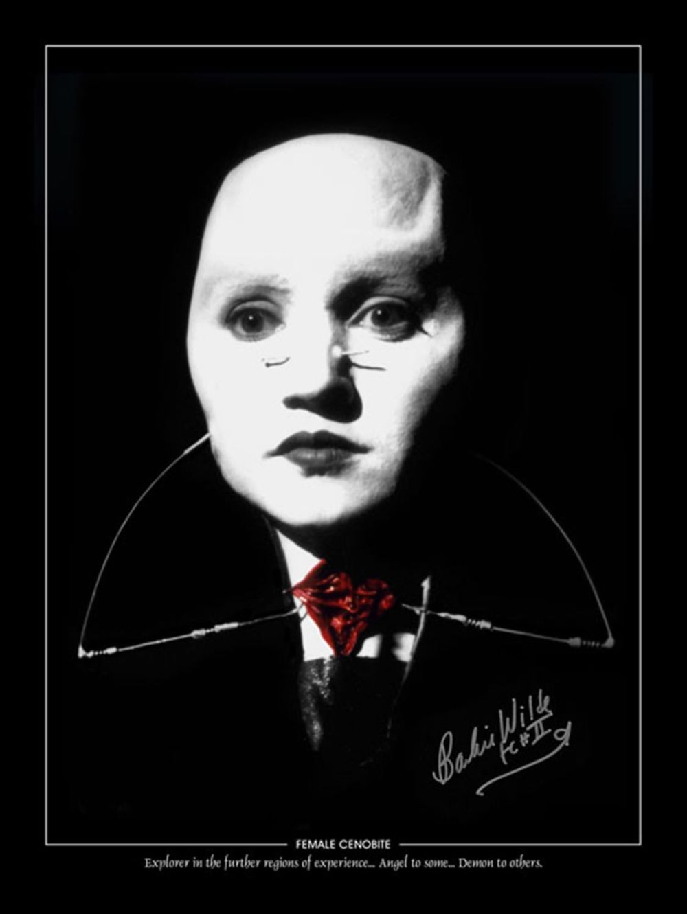 Lot 204: SALE! Hellraiser Barbie Wilde hand signed large 16x12...