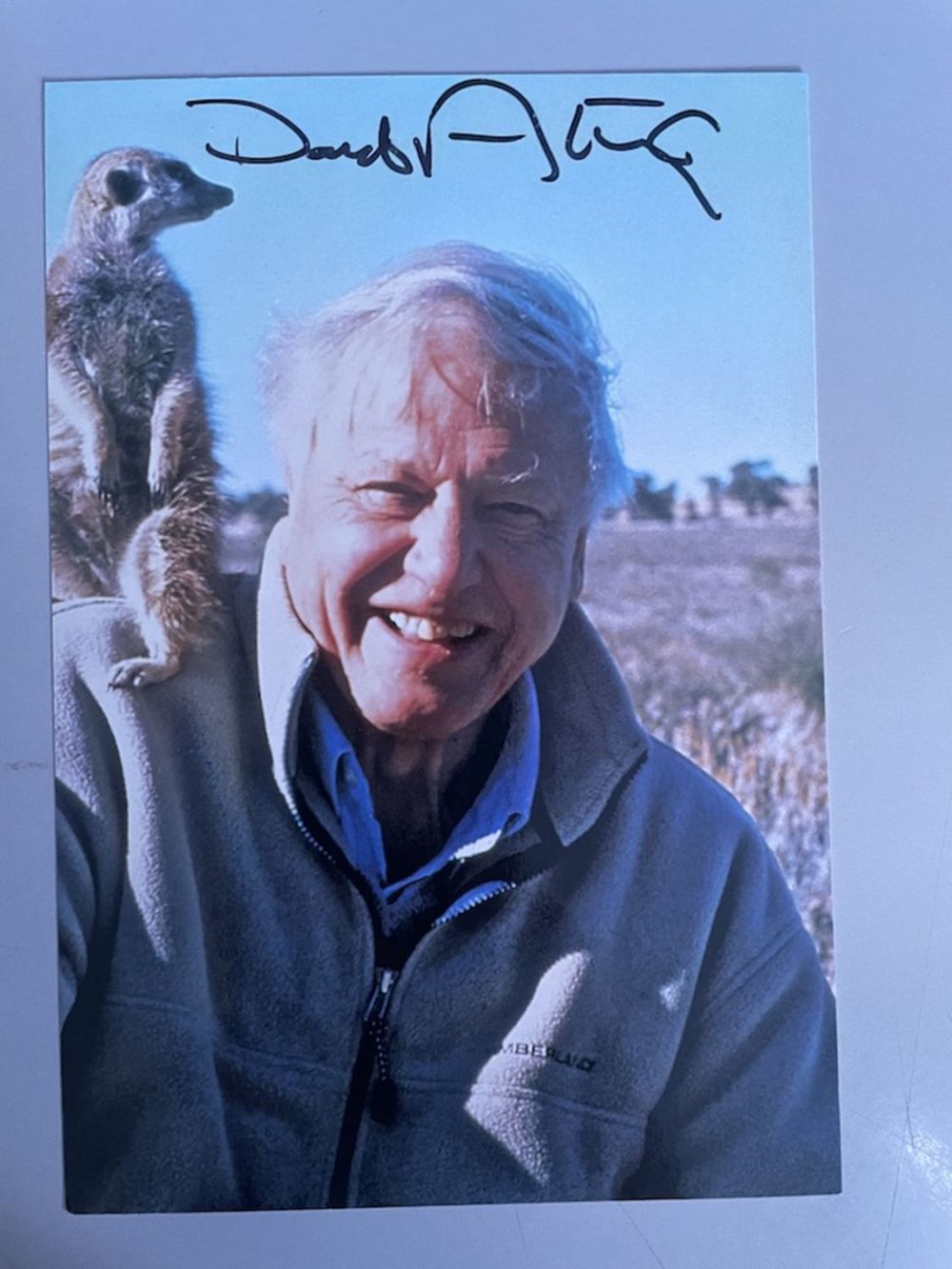 Lot 120: David Attenborough Naturalist and Wildlife Film Maker 6x4...