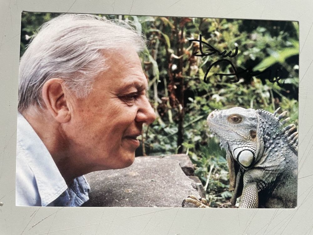 Lot 241: David Attenborough Naturalist and Wildlife Film Maker 6x4...