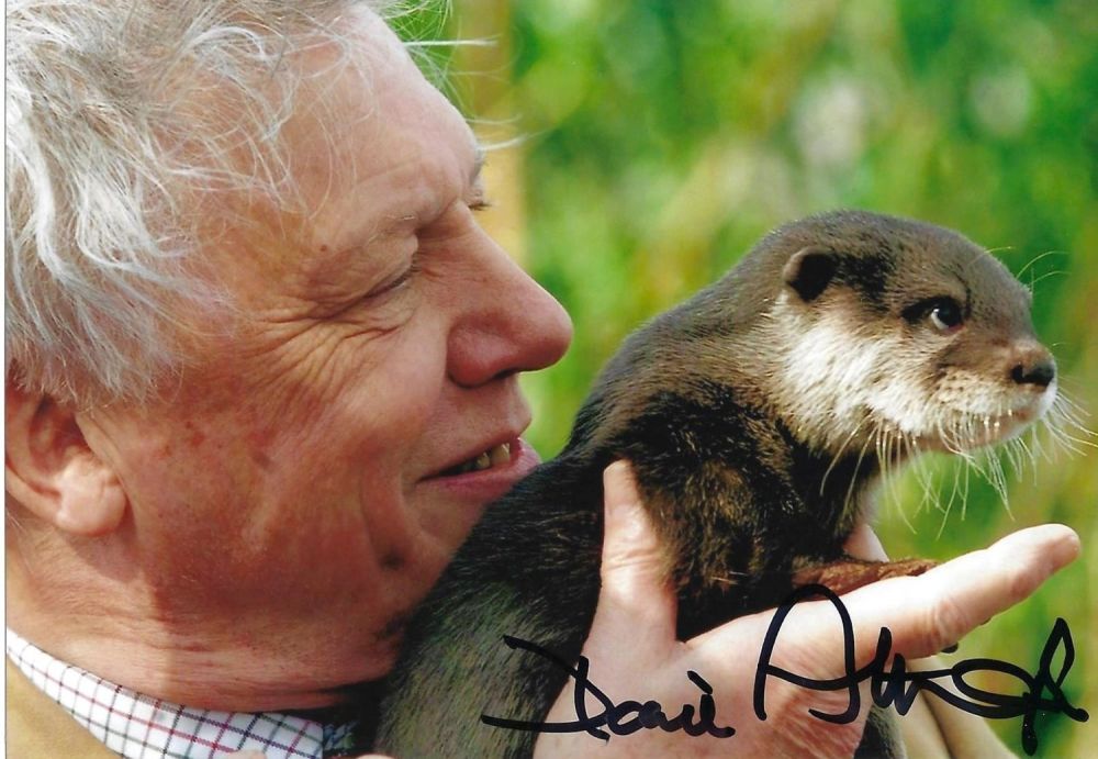 Lot 204: David Attenborough signed 6x4inch colour photo. Good condition....