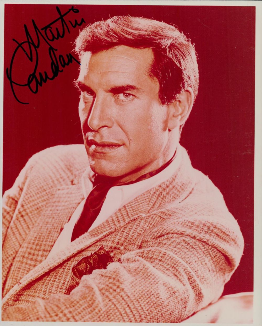 Lot 202: Martin Landau signed 10x8inch colour photo from Mission...