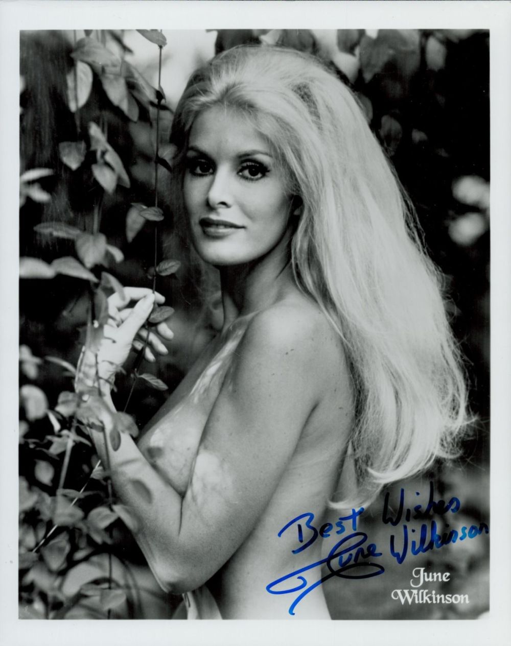 Lot 674: June Wilkinson signed 10x8inch black and white photo....