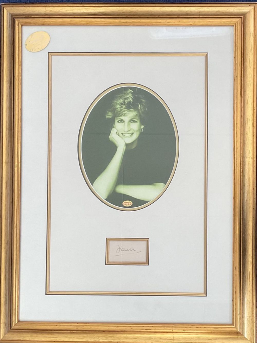 Lot 153: Princess Diana 26x19 overall mounted and framed signature...