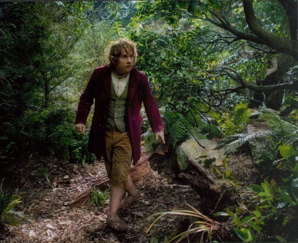 Lot 264: Martin Freeman signed 10x8 The Hobbit colour photo....