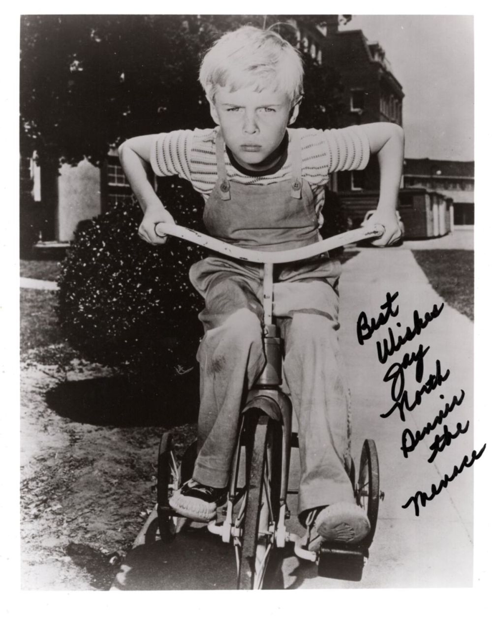 Lot 392: Dennis the Menace 1950's American children's TV series...