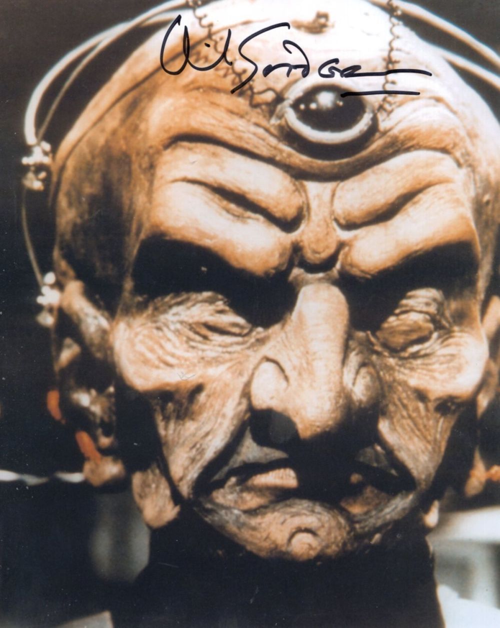 Lot 442: Doctor Who 8x10 inch photo signed by David...