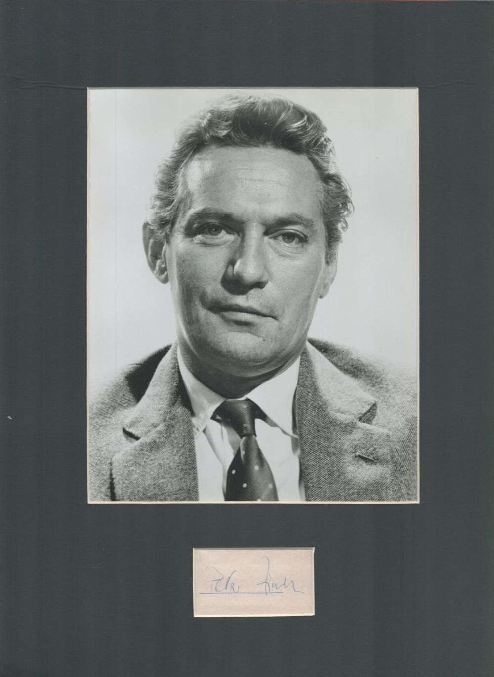 Lot 126: Actor, Peter Finch matted signature piece, overall size...