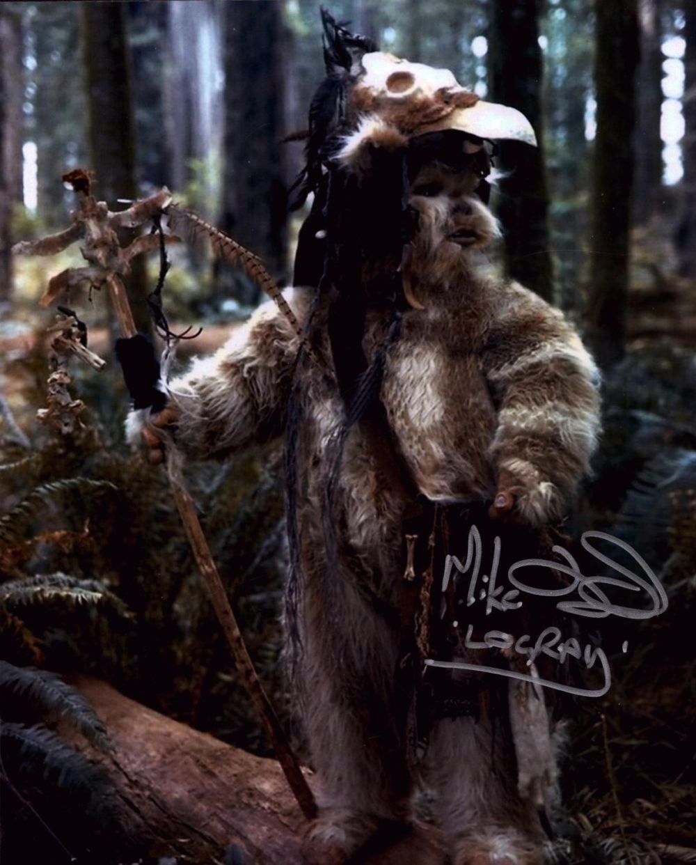 Lot 240: Mike Edmonds signed Star Wars Ewok 10x8 inch...