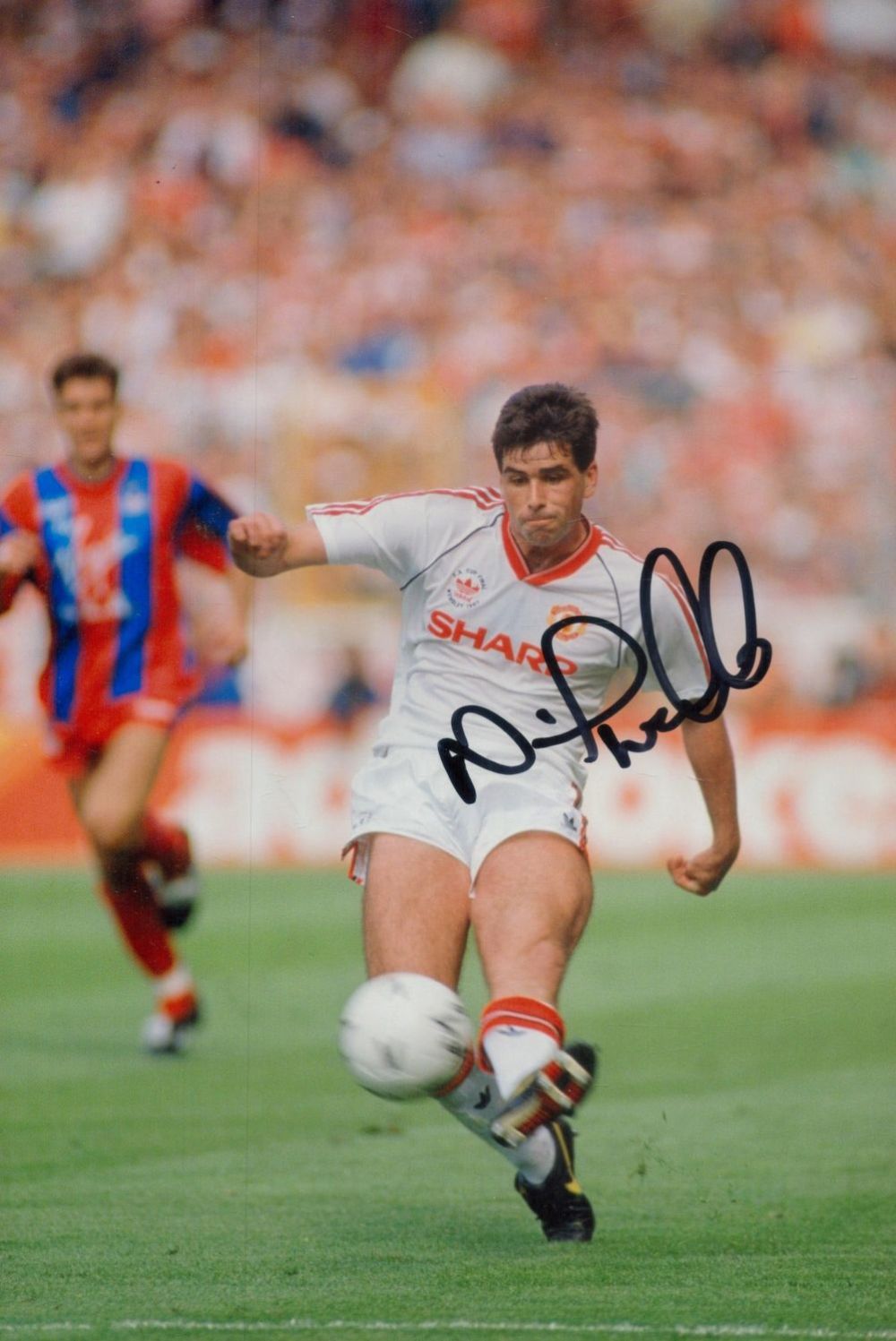 Lot 141: Neil Webb signed 12x8 inch colour photo pictured...
