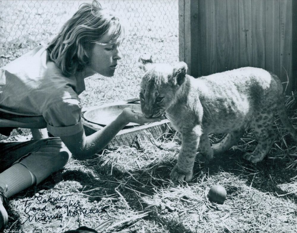 Lot 442: Virginia Mckenna signed 10x8inch black and white photo....