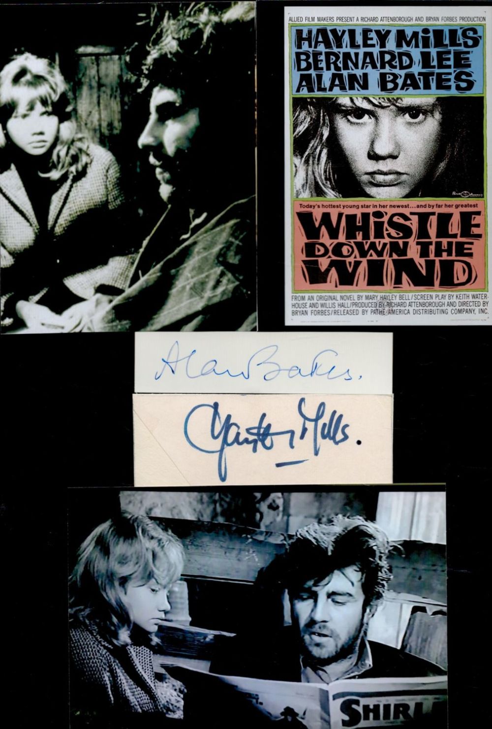 Lot 571: Hayley Mills and Alan Bates Multi signed Signatures...