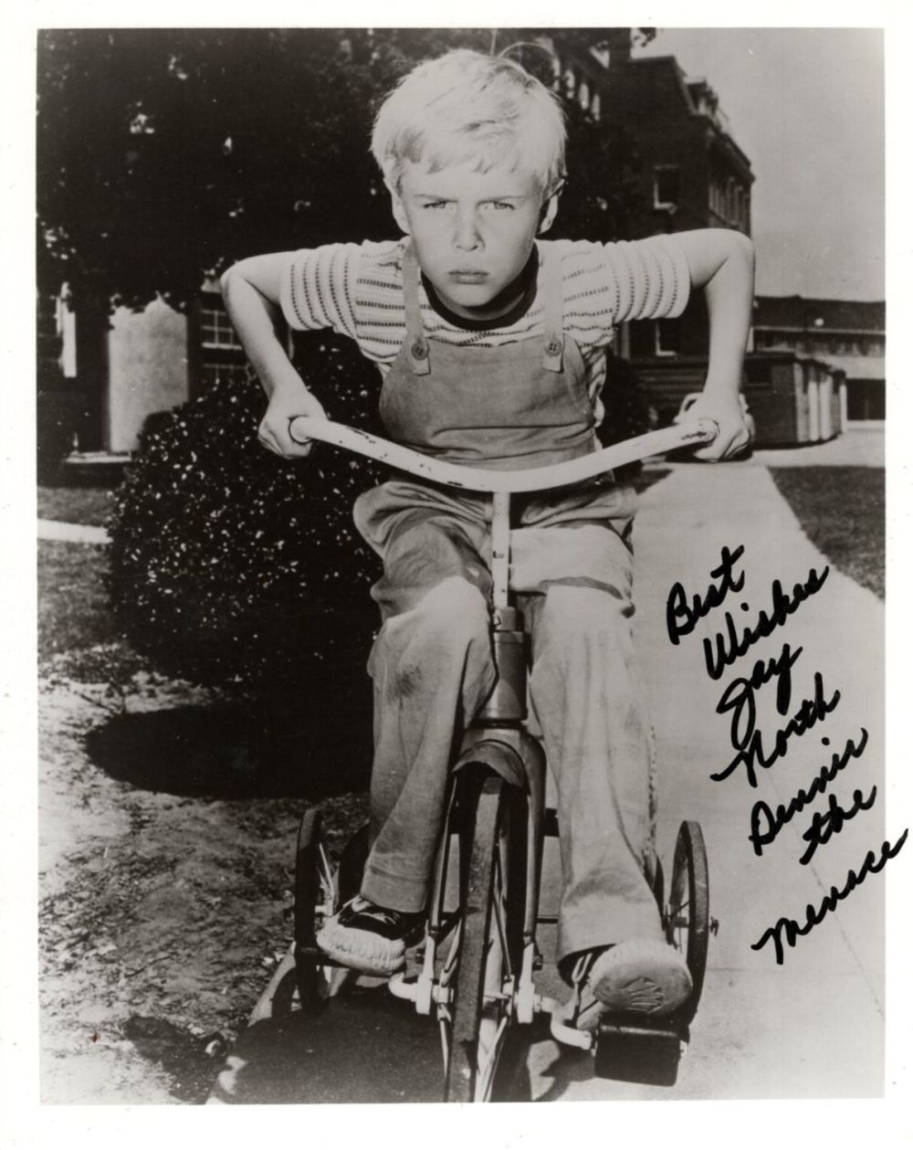 Lot 661: Dennis the Menace 1960's US children's comedy TV...