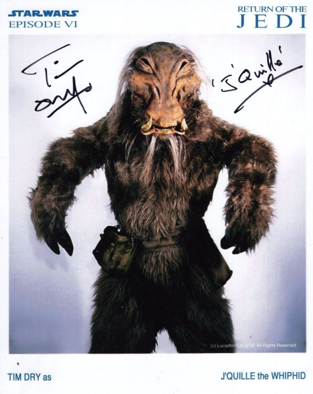 Lot 533: Star Wars Return of the Jedi 8x10 photo...