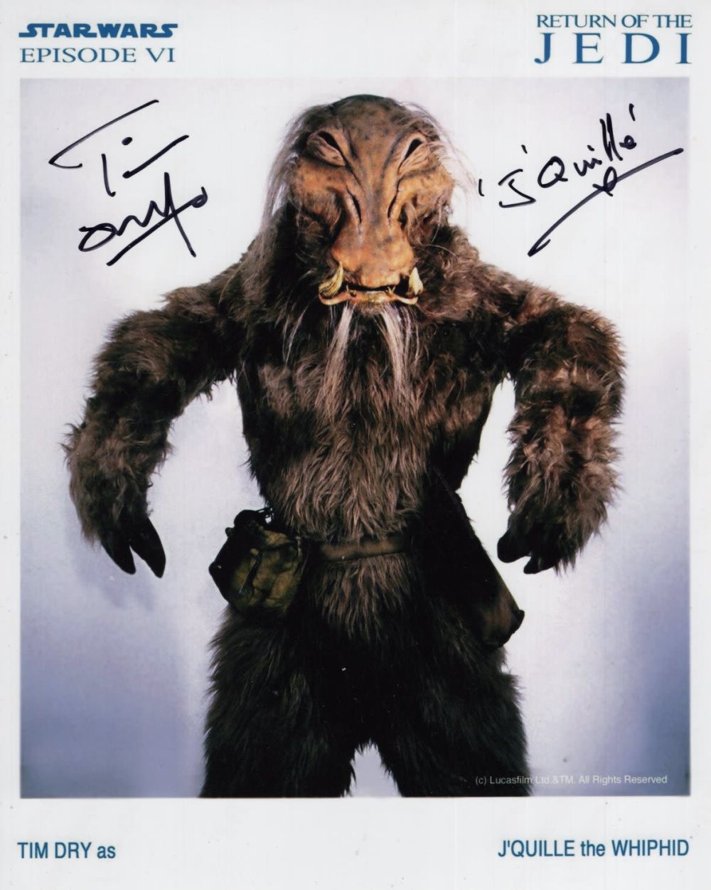 Lot 639: Star Wars Return of the Jedi 8x10 photo...