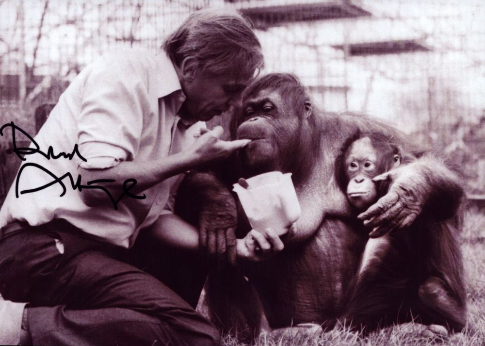Lot 354: David Attenborough signed 7x5 inch black and white...