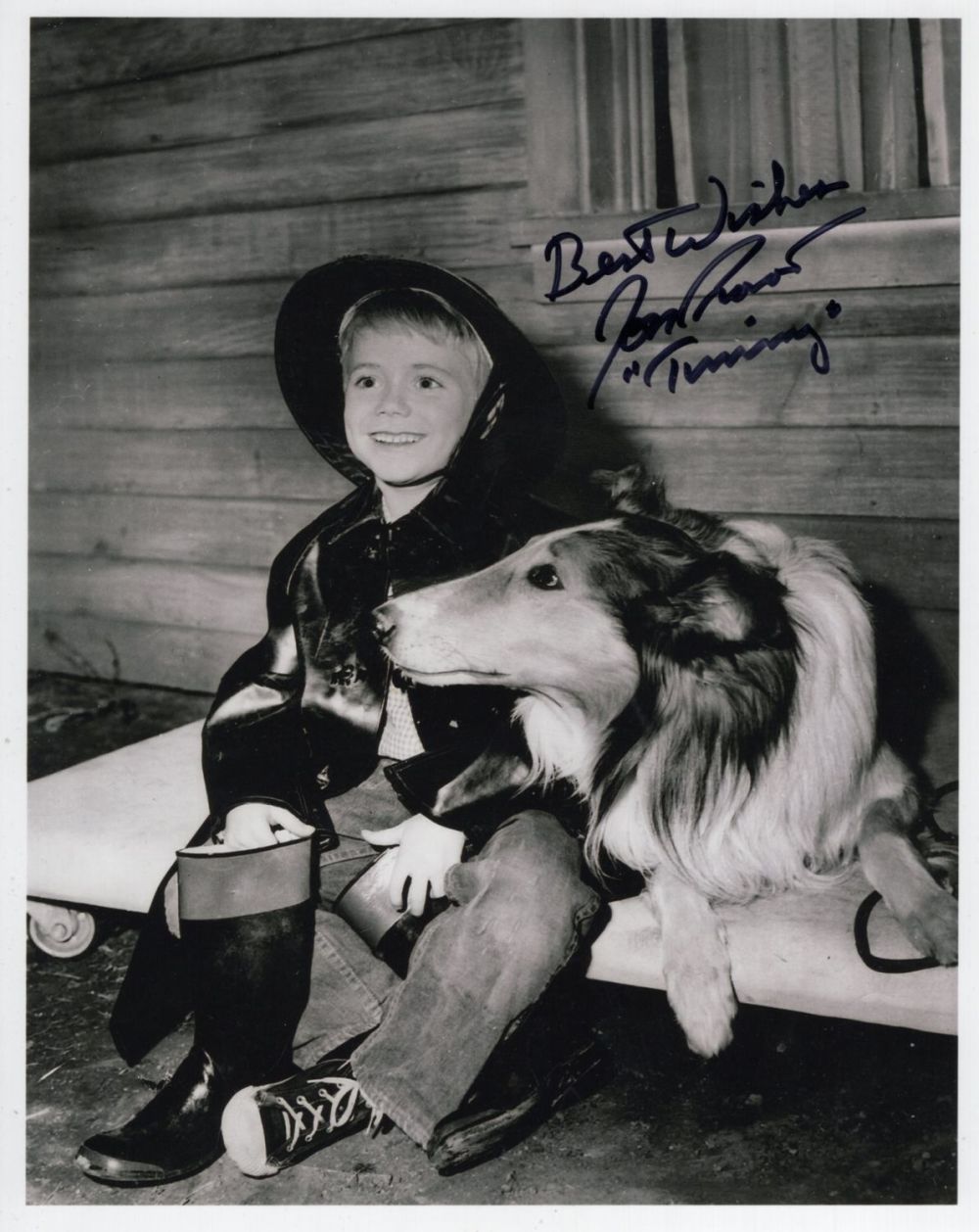 Lot 679: Lassie, groundbreaking 1950's and 60's TV series 8x10...