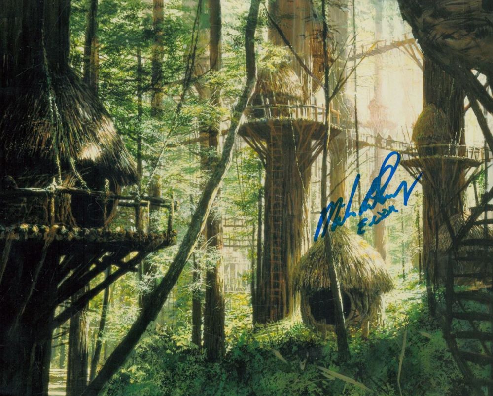 Lot 413: Star Wars Michael Henbury Ewok actor signed 10...