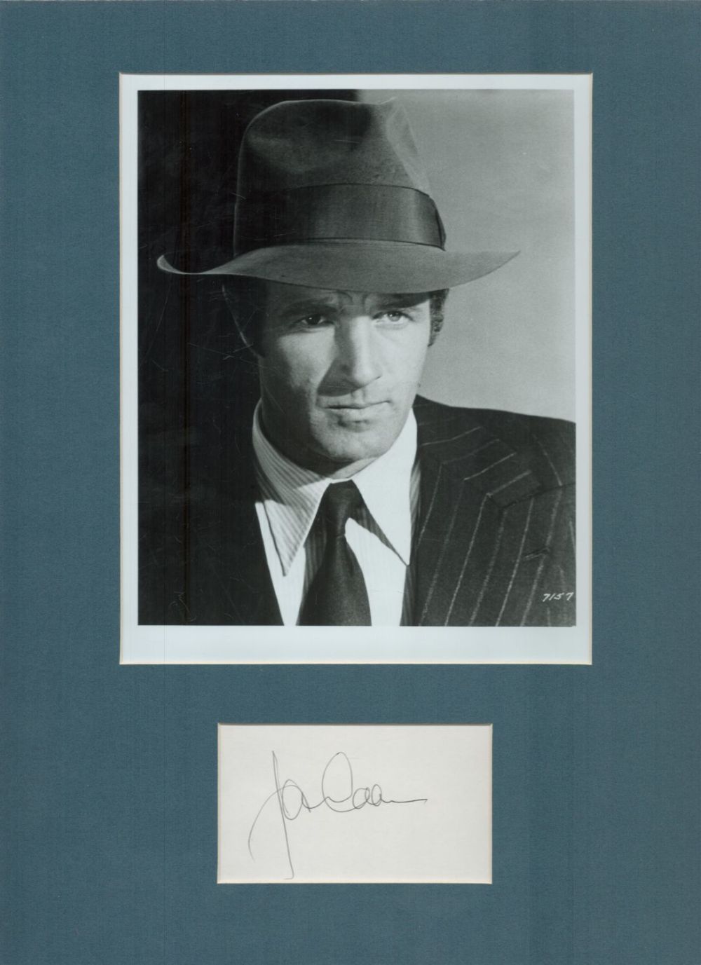 Lot 117: James Caan signed 16x12inch colour mount. Good Condition....