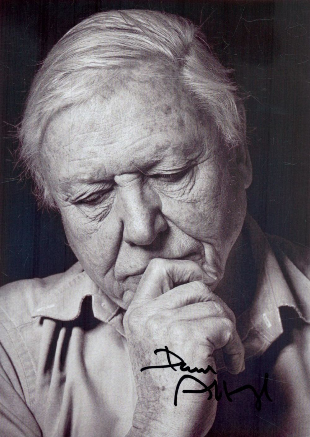 Lot 107: David Attenborough signed 7x5 inch black and white...