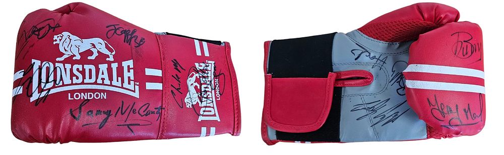 Lot 261: Multi signed Boxing Glove signatures such as Charlie...