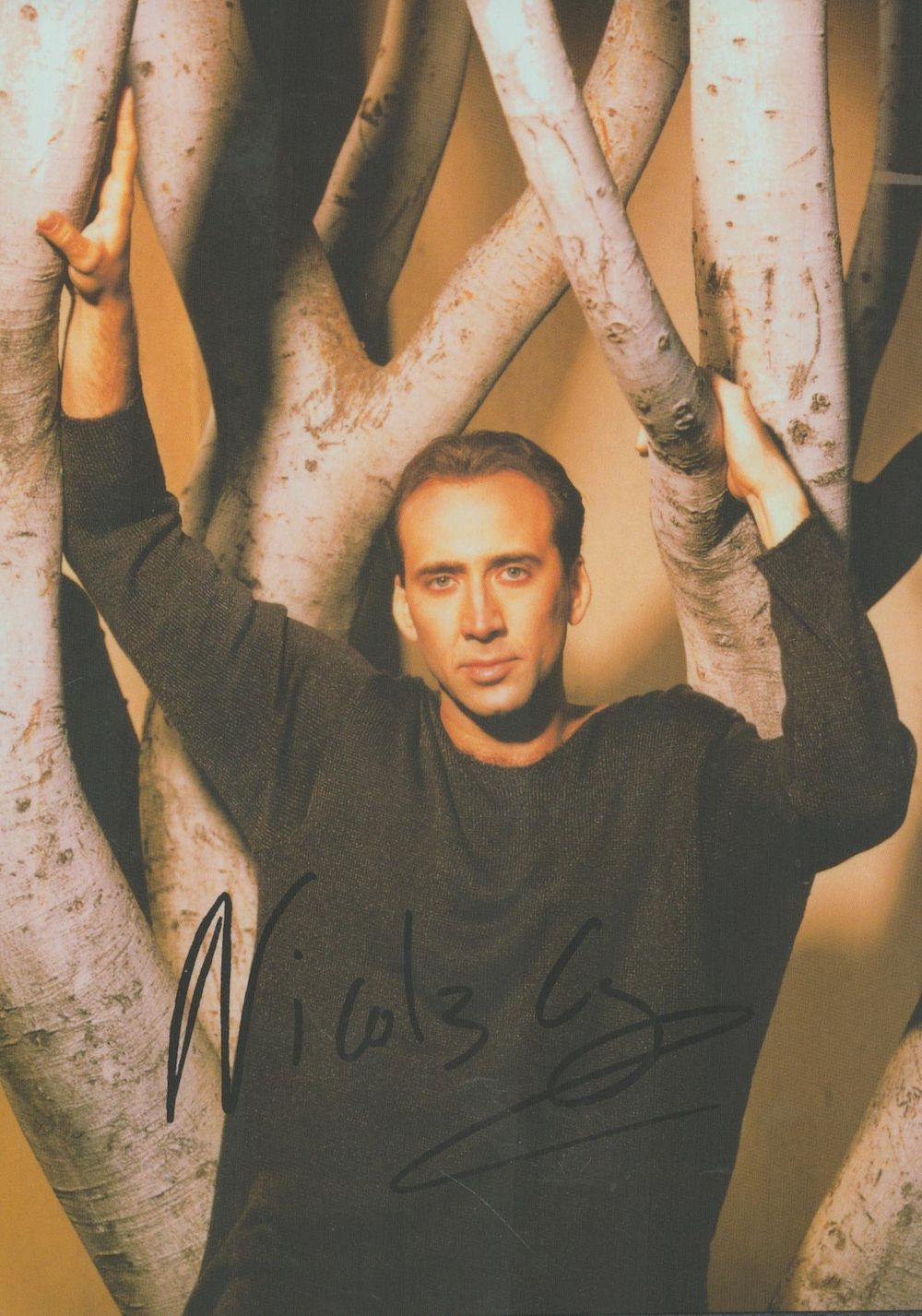 Lot 311: Nicholas Cage signed colour photo 7x5 Inch. Good...