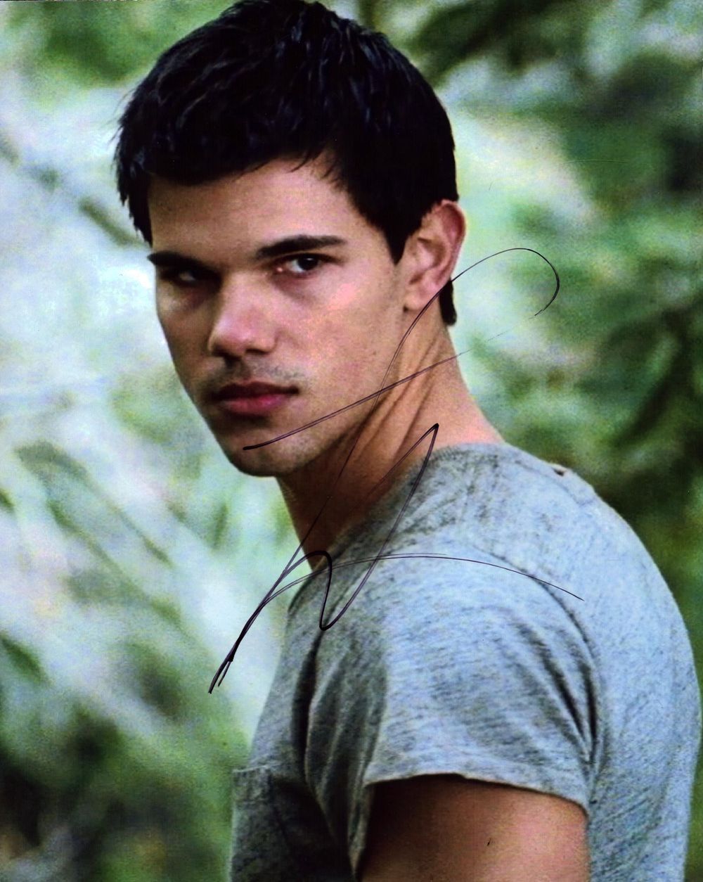Lot 625: Taylor Lautner signed 10x8 inch colour Twilight photo....