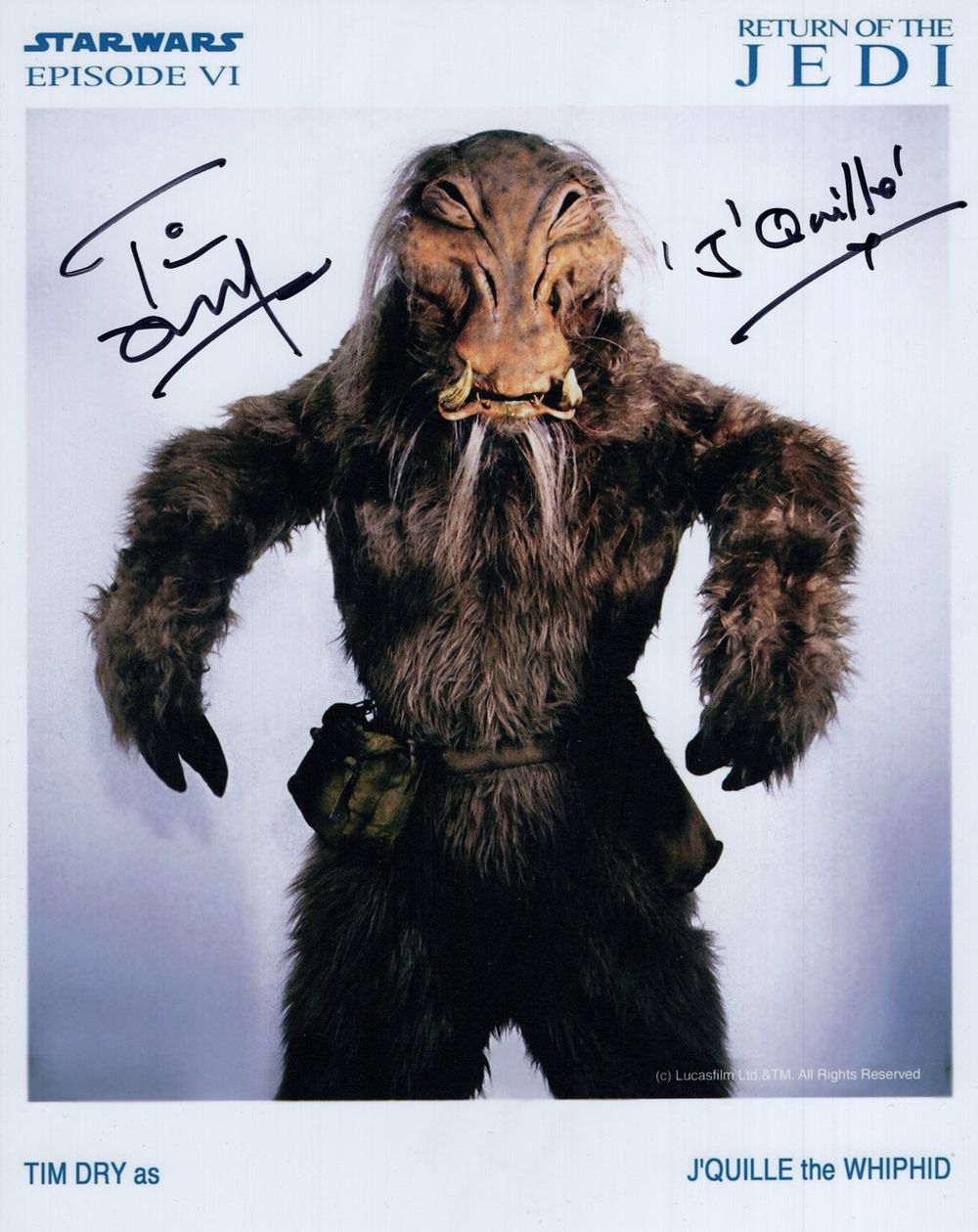 Lot 509: Star Wars Return of the Jedi 8x10 colour...