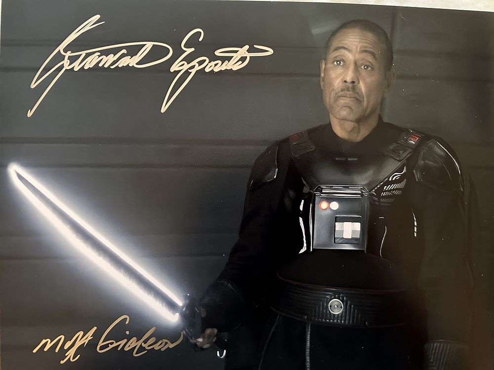 Lot 595: Star Wars The Mandalorian 14x11 colour photo signed...