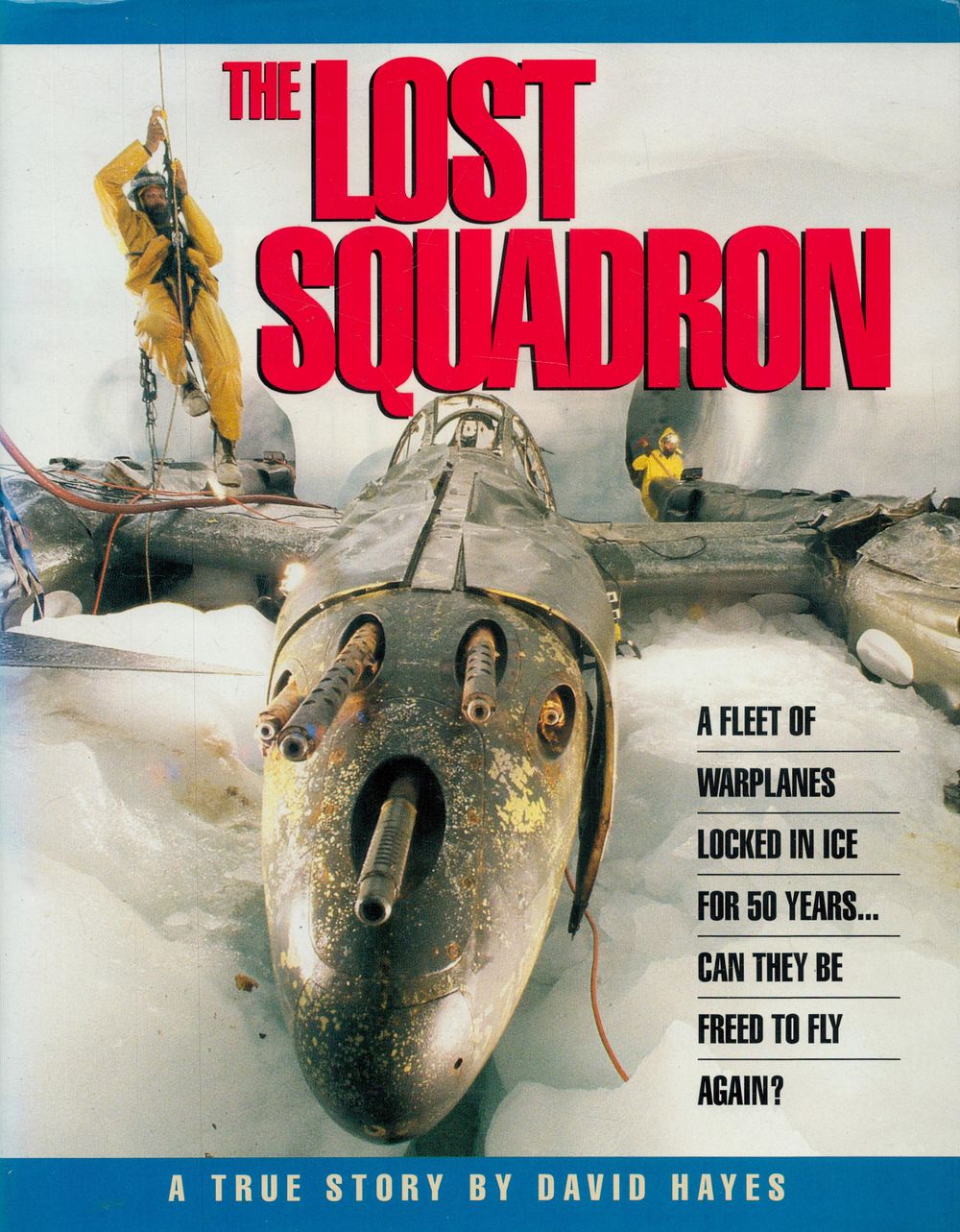 Lot 266: The Lost Squadron - A Fleet of Warplanes...
